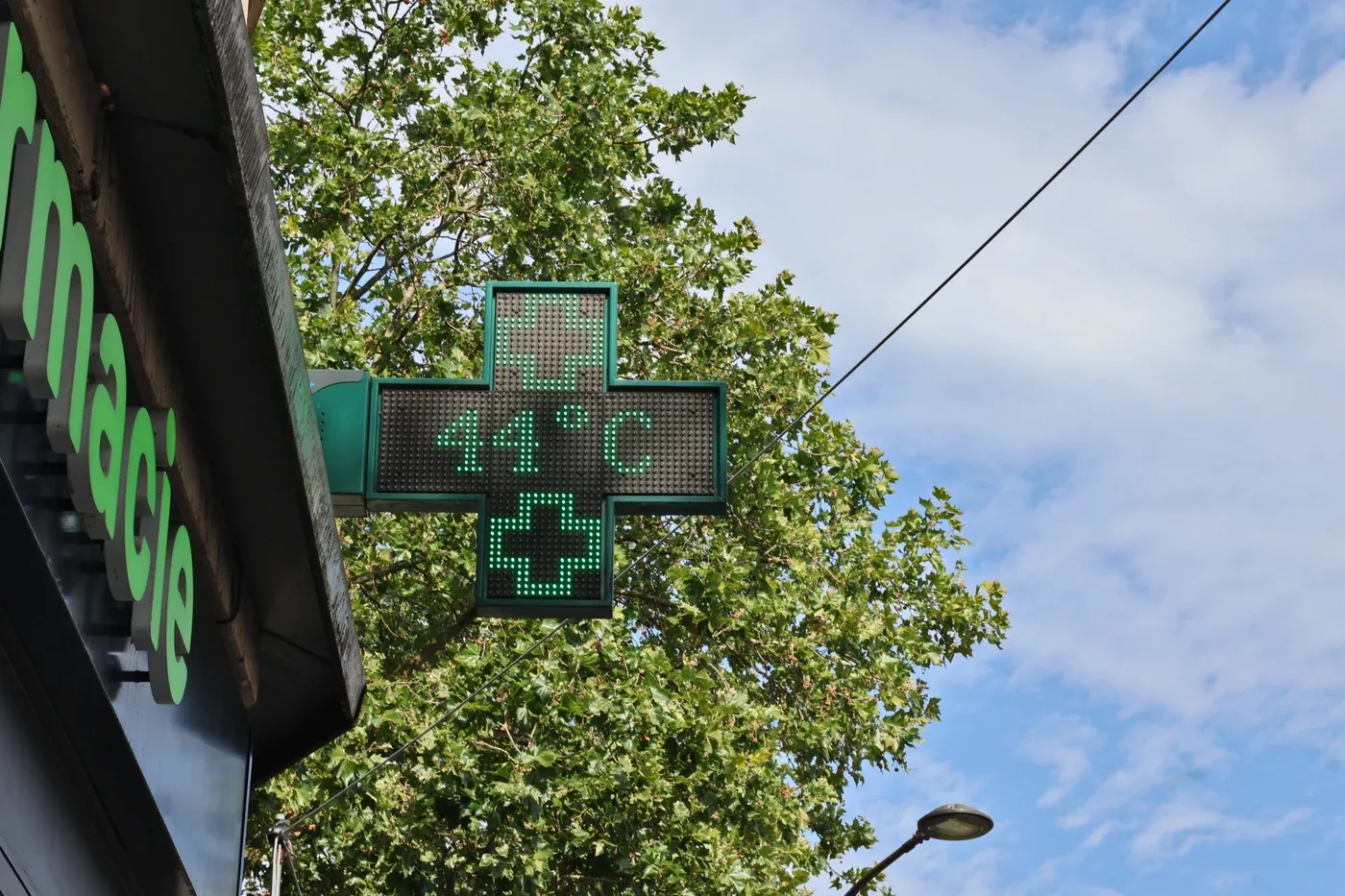 Croix verte de pharmacie parisienne affichant 44°C, devant un arbre et un ciel dégagé