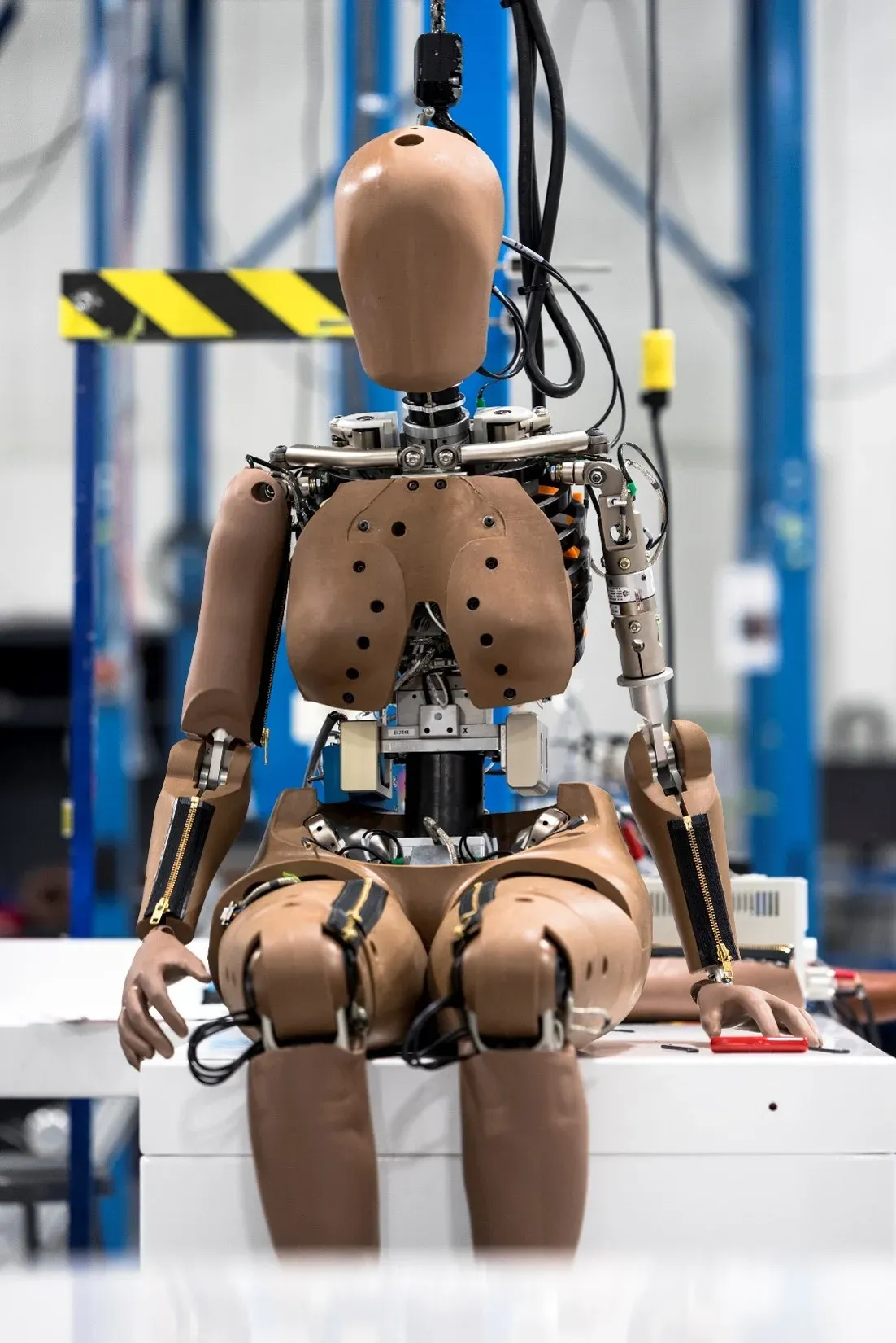 Mannequin de crash test féminin THOR 5e percentile, assis, thorax et bassin instrumentés visibles